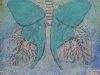 Luna Moth Lungs