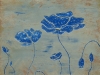 Blue Poppy