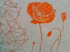 Orange Poppy with Lines